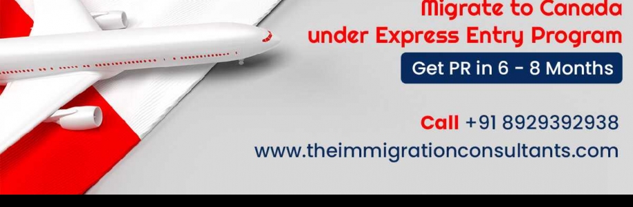 Theimmigration Consultants Cover Image