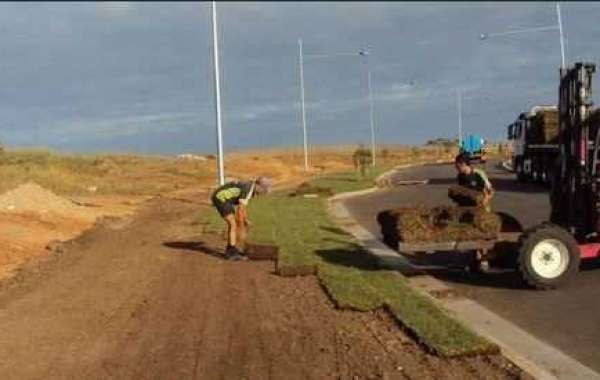 Turf Installation