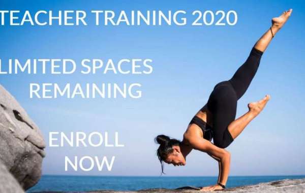 Yoga Teacher Training Services in Brisbane