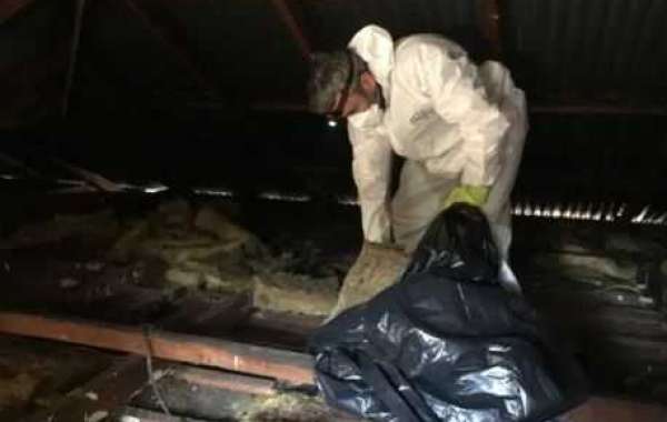 Attic Cleaning Cost