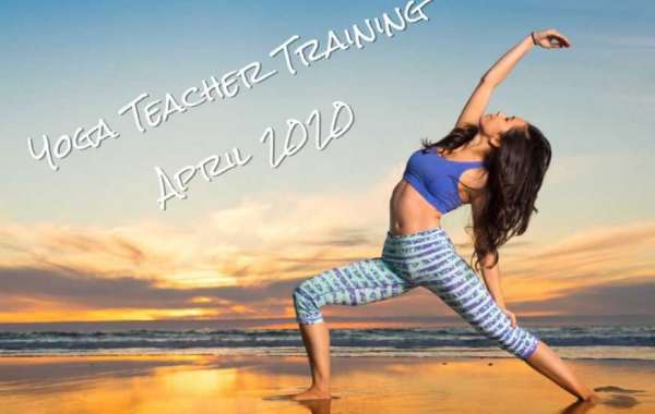 Yoga Teacher Courses
