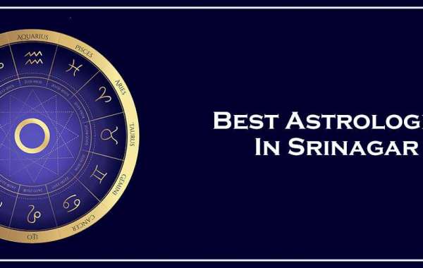 Best Astrologer in Srinagar Bangalore | Famous Astrologer