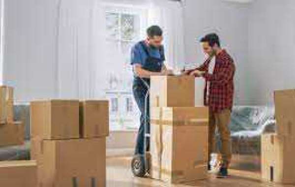 Rochester Movers Will Demonstrate How To Pack Artwork For Shipping And Moving