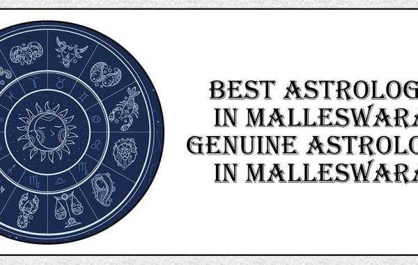 Best Astrologer In Malleswaram | Genuine Astrologer