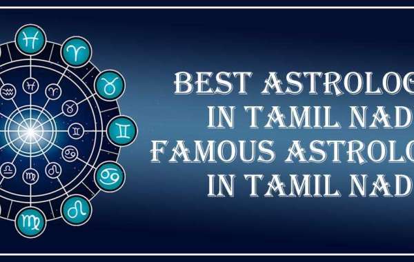 Best Astrologer in Karur | Famous Astrologer in Karur