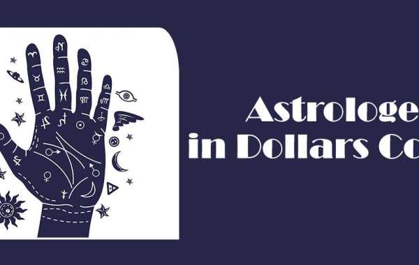 Best Astrologer in Dollars Colony | Astrologer