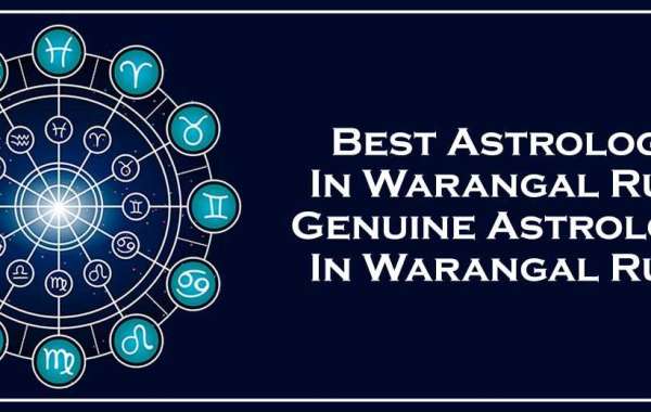 Best Astrologer in Warangal Rural | Black Magic & Vashikaran Astrologer