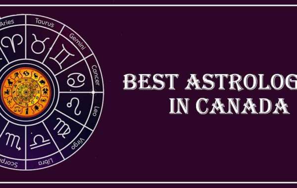 Best Astrologer in Winnipeg | Famous Astrologer in Winnipeg