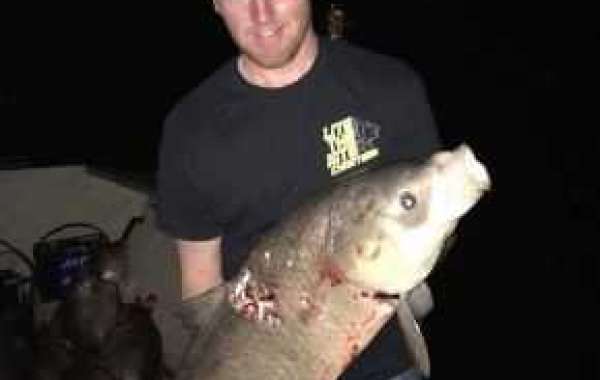 The Most Effective night bowfishing