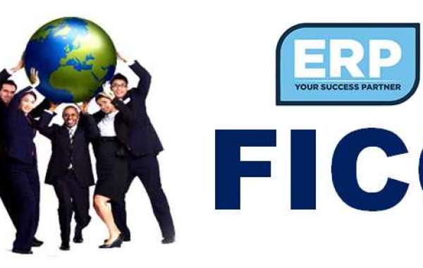 SAP FICO Training Course in Noida By ERP Training Noida