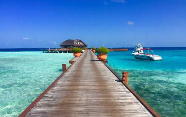 Top Reasons Why Should You Plan Your Next Holidays in the Maldives