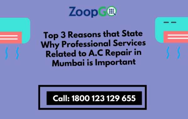 Top 3 Reasons that State Why Professional Services Related to A.C Repair in Mumbai is Important