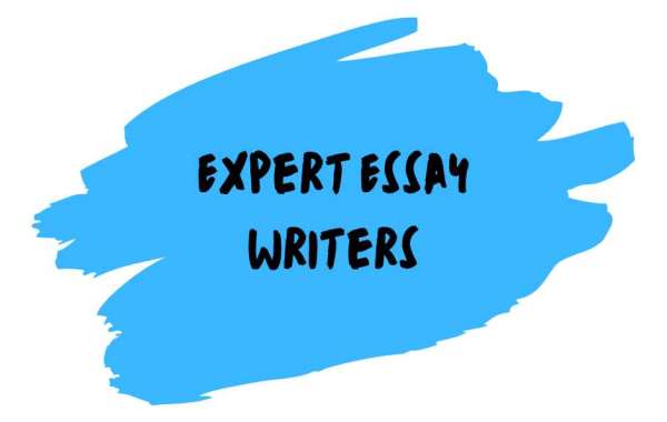Write My Essay For Cheap