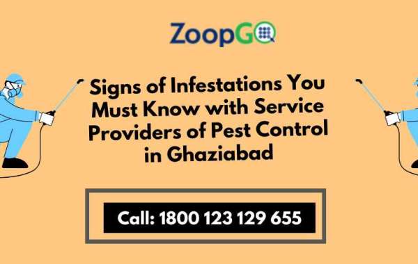 Signs of Infestations You Must Know with Service Providers of Pest Control in Ghaziabad