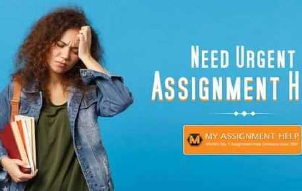 Best 3 individuals to offer you assignment helper