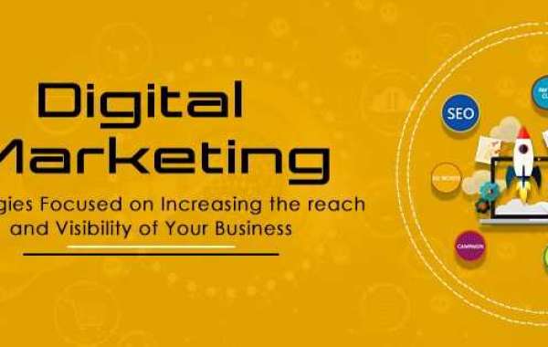 Digital Marketing Agencies | Interactive Pixels