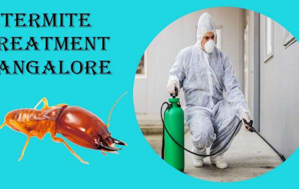 Bed Bugs Treatment in Bangalore | Bed Bug Control Services