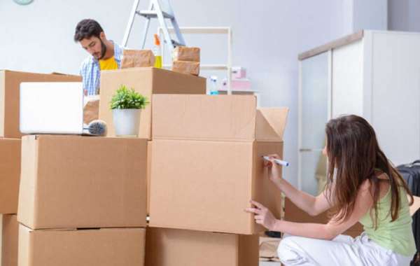 Techniques that movers in bangalore provides during service!