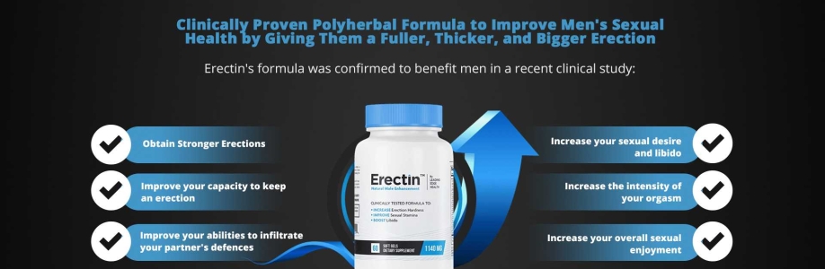 Erection Solutions Cover Image