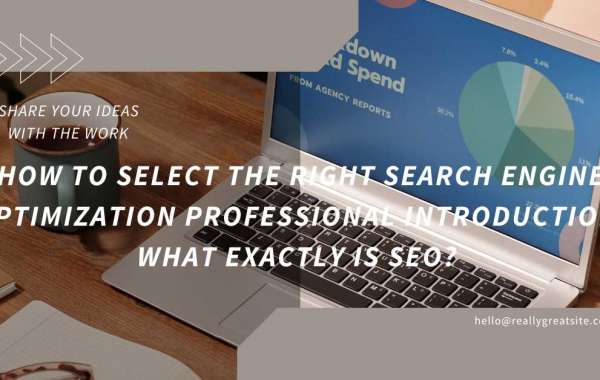 How to Select the Right Search Engine Optimization Professional Introduction: What exactly is SEO?
