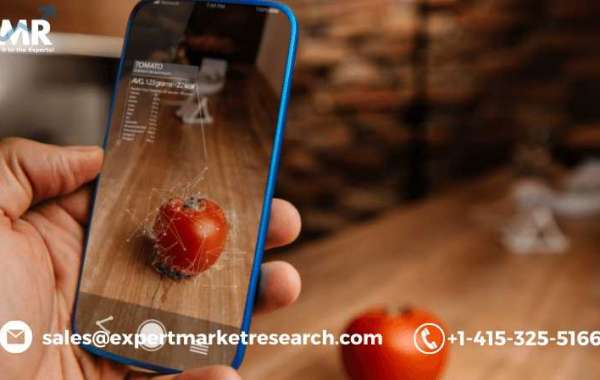 Global Augmented Reality Market Trends, Size, Share, Price, Growth, Analysis, Report and Forecast 2021-2026