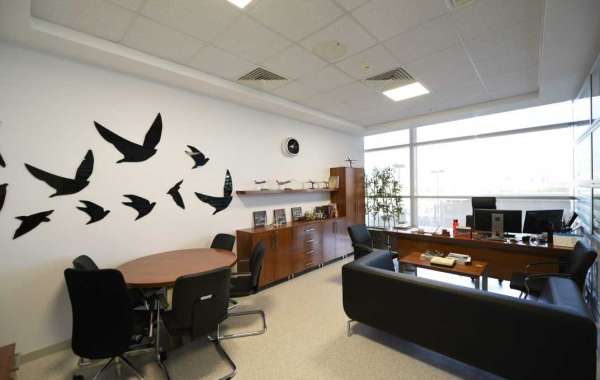 Do you want to know about Turkish airlines Chicago office?