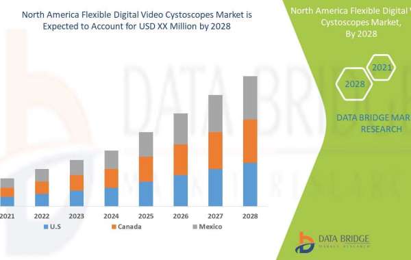 Business Outlook of North America Flexible Digital Video Cystoscopes Market