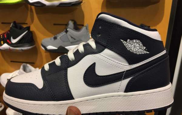 Nike Jordan 1 Jordan Shoes