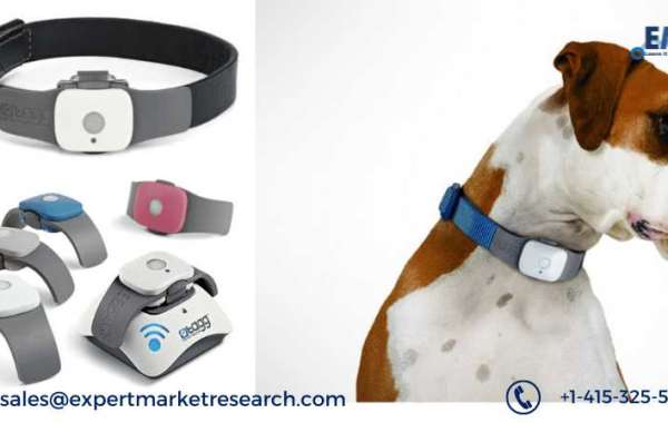Global Pet Wearable Market Is Expected To Grow At CAGR Of 14% In The Forecast Period Of 2021-2026