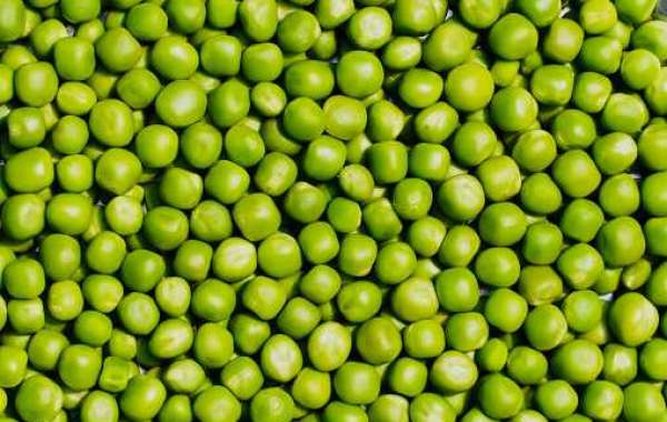 Pea Starch Market Size, Distribution Source, Competitor, Regional Growth| Forecast