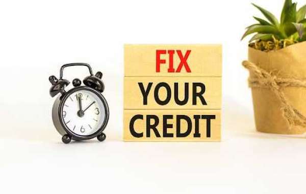 Why You Must Hire A Credit Repair Company in Grosse Pointe Park Michigan