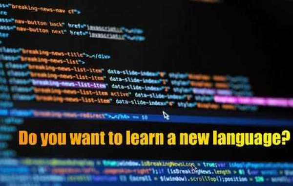 Best Programming Language