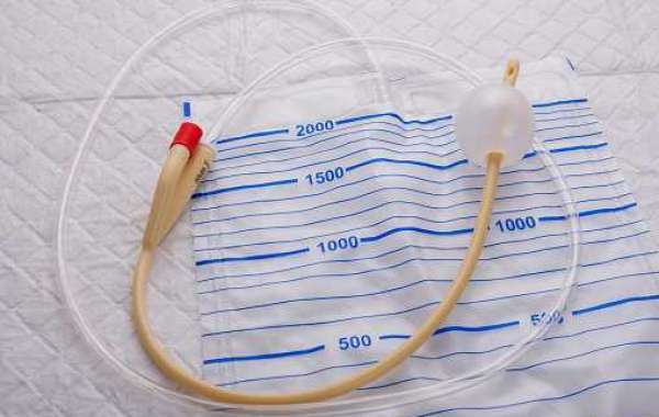 Urinary Catheters Market In-Depth Analysis Of Competitive Landscape Executive Summary Development Factors 2030