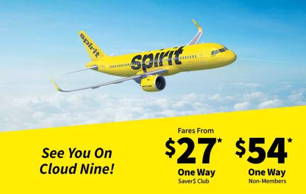 Spirit Airlines Baggage Allowance