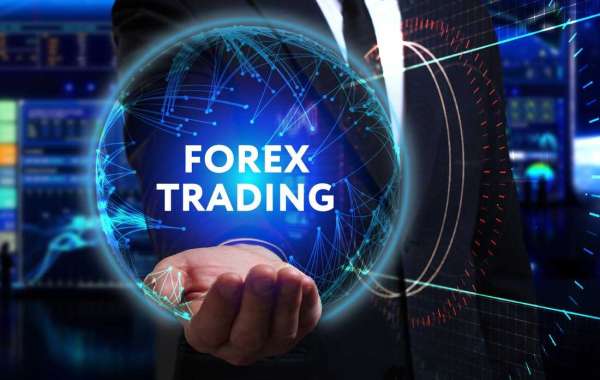 Best forex brokers for beginners Forex