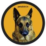 Petalish Profile Picture