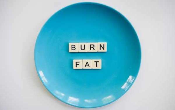Belly Fat Burner: Top Fat-Burning Supplements
