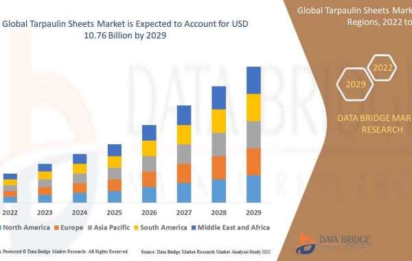 Global Tarpaulin Sheets Market Insight Business Opportunities, Revenue, Gross Margin and Forecast 2029