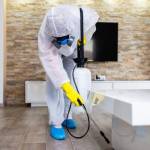 Cleaning Services Newcastle profile picture