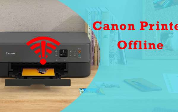 Reliable Fixes for Canon Printer Offline Windows 10 and Mac