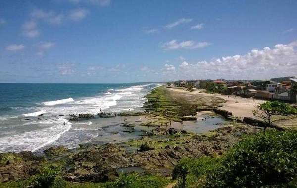 7 Best Things to Do in Ilheus, Bahia, Brazil