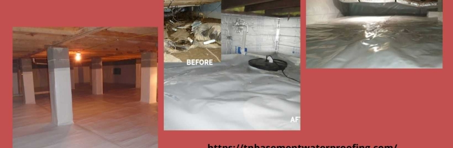 Barrier Waterproofing Systems Cover Image