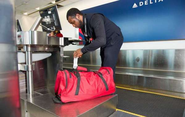 How Much Does Delta Charge For International Baggage