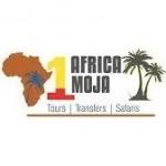AFRICA MOJA TOURS Profile Picture