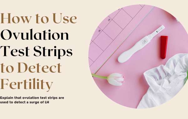 How to Use Ovulation Test Strips to Find Fertility