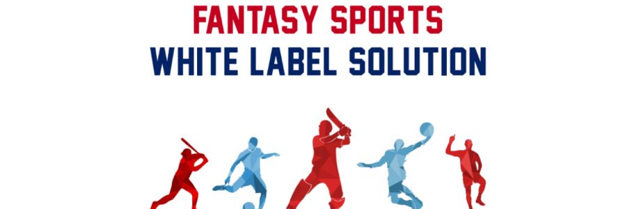 Fansportiz Fantasy Sports app development Cover Image