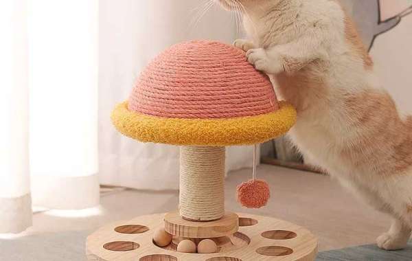 Are the wooden toys safe for cats and dogs?