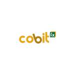 Cobit FX Profile Picture