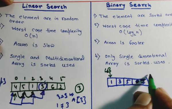 Read This To Know About The Difference Between Linear Search And Binary Search