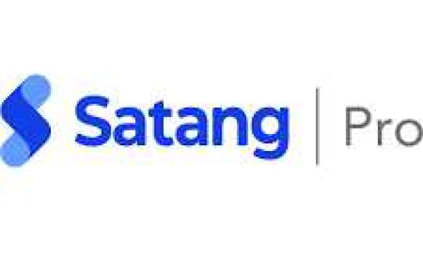 Analyzing the fees structure of Satang Pro